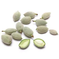 Green Almonds