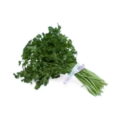 Italian Parsley