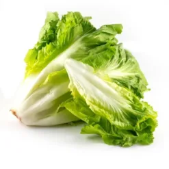 Organic Romaine Hearts