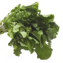 Rapini