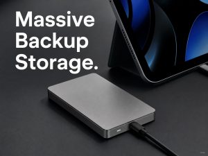 Massive Backup External HDD